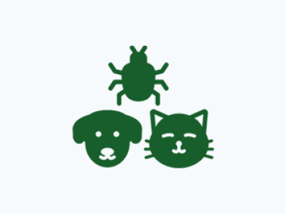 Dieren & insecten