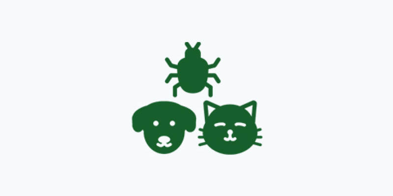 Dieren & insecten